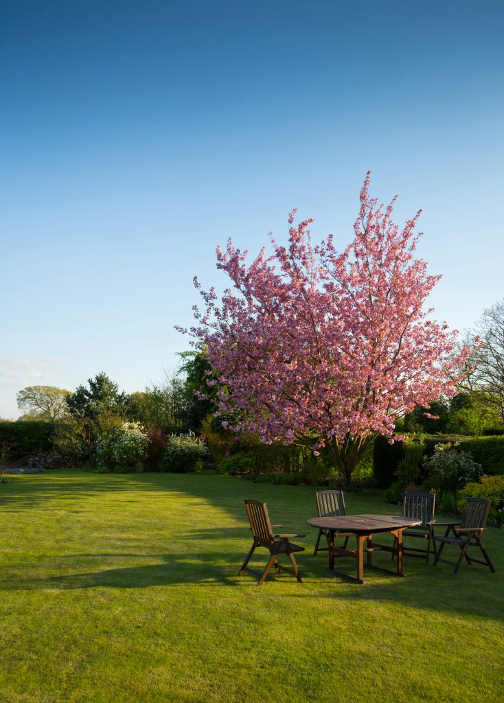 Gepflegter Garten mit Tisch und Baum
