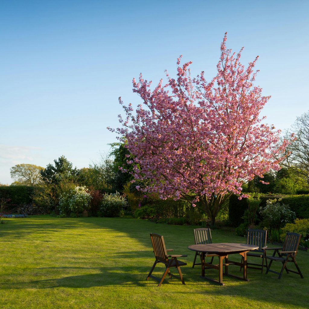 Gepflegter Garten mit Tisch und Baum