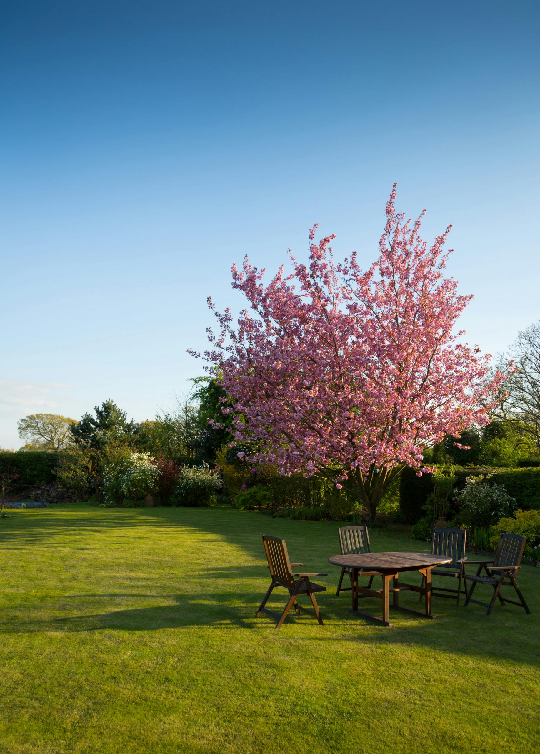 Gepflegter Garten mit Tisch und Baum
